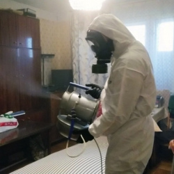 Дезинфекция от клопов в Болгаре