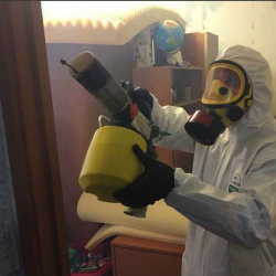 Уничтожение клопов в квартире. Болгар